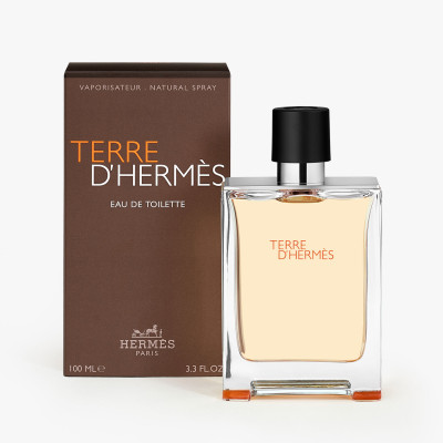 Parfum-homme-Hermes-Terre-d-Hermes-Eau-De-Toilette-100ml-parfums-de-france_2