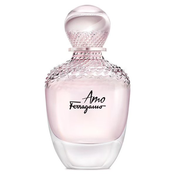 Salvatore Ferragamo Amo Eau De Parfum 100ml