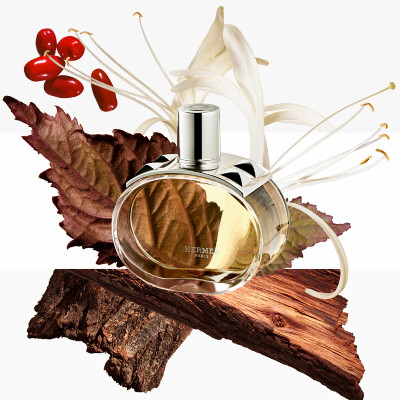 parfum-femme-hermes-barenia-eau-de-parfum-30ml-parfums-de-france-3