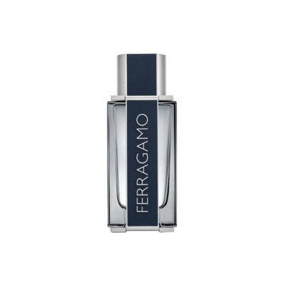 SF Ferragamo Eau De Toilette Vaporisateur 100ml